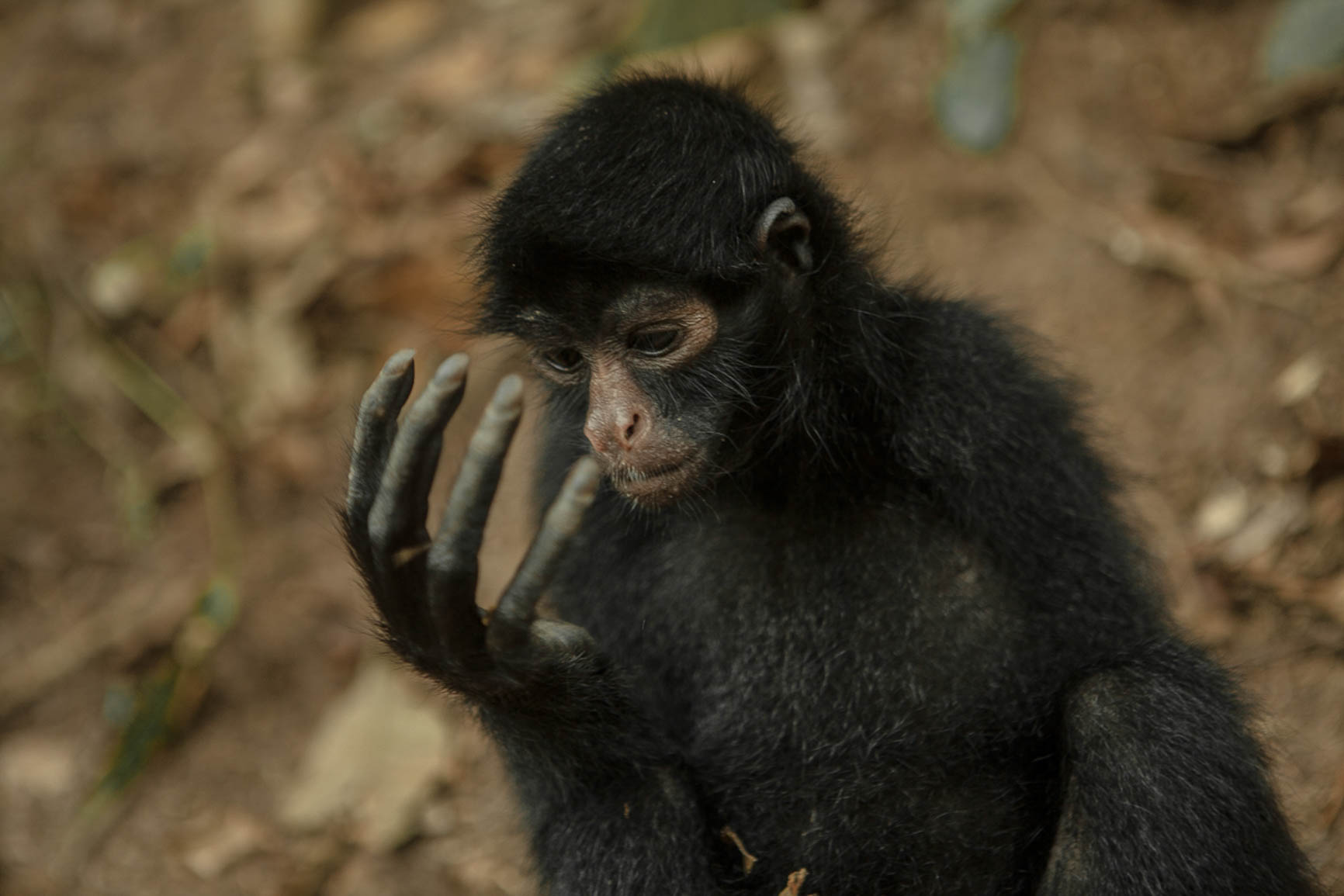 NO_reportaje_ORLANDO_3